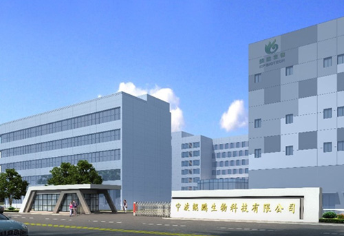 宁波bg大游