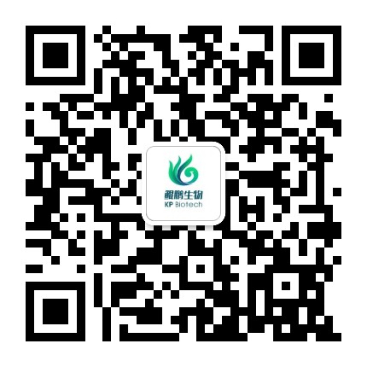 关注bg大游